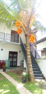 yoshen Villa - 2