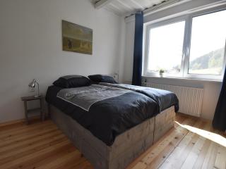 Chalet in Levínská Ole near Giant Mountains - 6