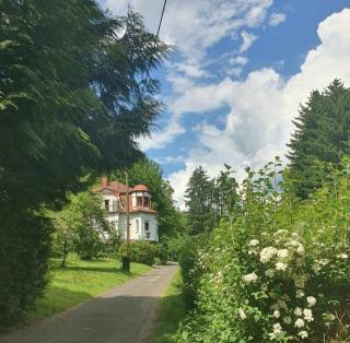 Ferienwohnung Villa Waldeck - Bad Kissingen - 8