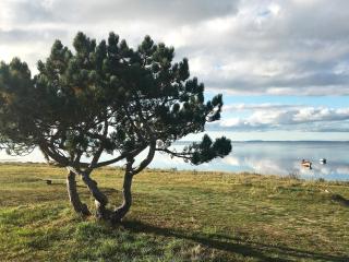 4 person holiday home in Jægerspris - 8