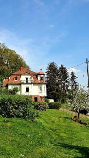 Ferienwohnung Villa Waldeck - Bad Kissingen - 9