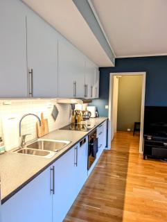 Moderne 2-roms leilighet med garasje - 8