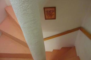 Dobra Apartments - Trogir - 1