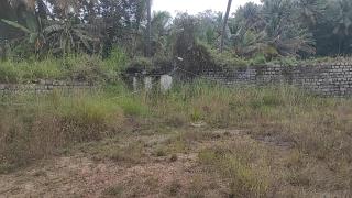 NKM Holiday Park - 7