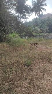 NKM Holiday Park - 2