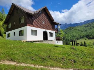 Wild Wolf Chalet - Sătic - 9