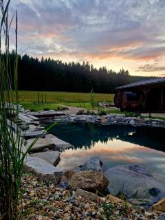 Apartmán Štěpa - Filipovice - 9