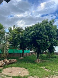 Prime Cottage 2bhk independent cottage home - 3