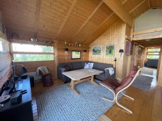 Orrelie by Norgesbooking - cabin with a lovely view - Ål - 2