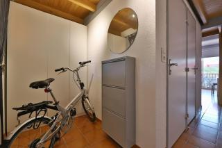 L'hippocampe - 3