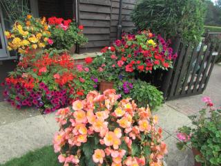 Decoy Barn Fritton - 2