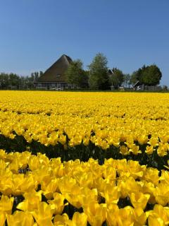 B&B Idylle aan Zee incl 2 Wellnessstudios - 7