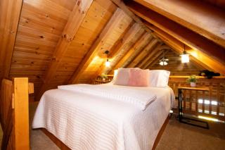 Honey Bear Cabin - 1
