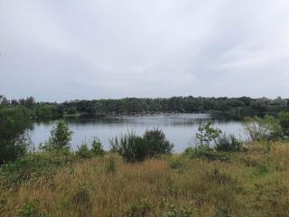 6 person holiday home in Ringkøbing - Ringkøbing - 1