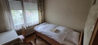 Vorstadt-Villa Apfelroute - Alfter - 7