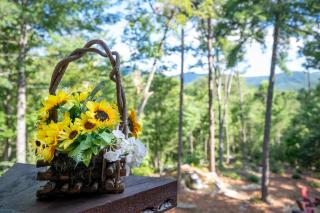 Three Loves Cabin - Three Loves Cabin - Cherry Log GA - Hot Tub, Fire Pit - 8