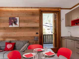 Chaleureux appart 4 pers avec terrasse et wifi, Chamonix centre - FR-1-343-222 - 6