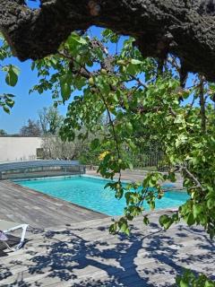 1 chambre 1 cuisine & salle d'eau privées avec piscine et jacuzzi - 0