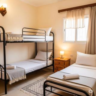 Gamandy Hostel - 0