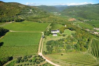 Agriturismo Delo - Verona - 8