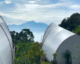 Selayang Olivehill - Kemewahan Glamping di Hutan - - 1