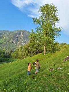 Country Life Chalet - 3