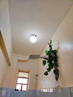 Reigns haven - 6