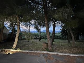 Casa olivar de Riudoms - 6