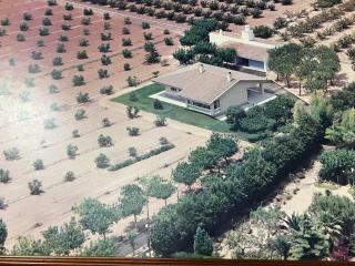 Casa olivar de Riudoms - 8