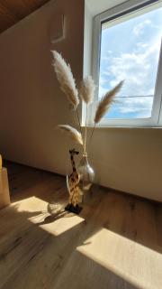 FeWo Weitblick - 8