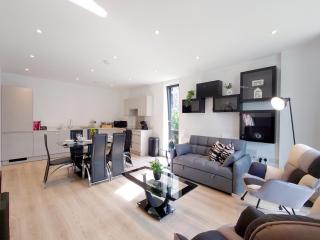 Modern Two Bed Apartment in Poplar near Canary Wharf - Londra - 5