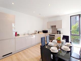 Modern Two Bed Apartment in Poplar near Canary Wharf - Londra - 2