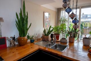 Huize Zonnebloem - 8