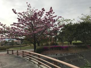 Depa within Paraiso Country Club Golf Club - 1