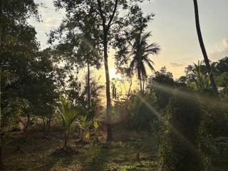 Ema homestay - Dambulla - 0