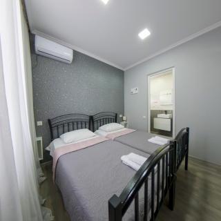 Dimitris Cabin In surami - 1