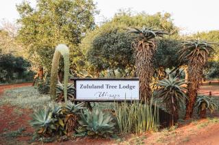 Ubizane Zululand Tree Lodge - Hluhluwe - 7