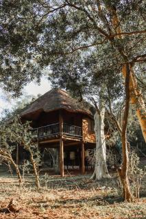 Ubizane Zululand Tree Lodge - 8