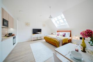 Prague Days - Modern Apartments with AC near King's Park - 1