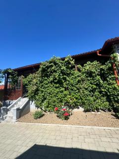 Apartament Salina Turda - 7