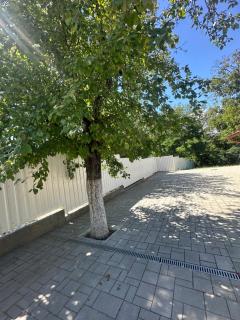 Apartament Salina Turda - 8