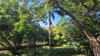 Charming 3 bedroom guesthouse - 2300 - Kariba - 4