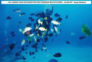 Vaste logement spa vue superbe Ti Kaz Miyou 1 - 6