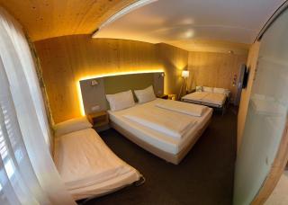 Ökohotel aus Holz Alea Eco - Pfaffenhofen an der Ilm - 5