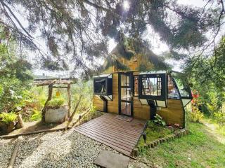 Lakeside Glamping with View Fire Pit Hammock - 3