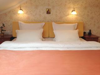 Eney Attic Three-Room Apartment - Lviv - 5