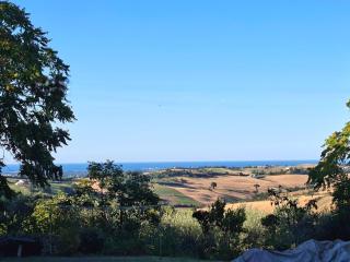 Casa Olive Family - 7