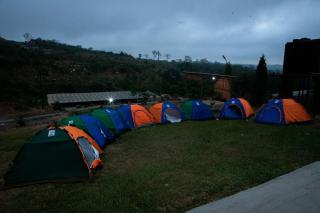 Neville Farms Ghana -  - 6