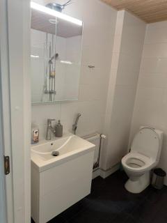 City apartment nearby Airport - Vantaa - 4