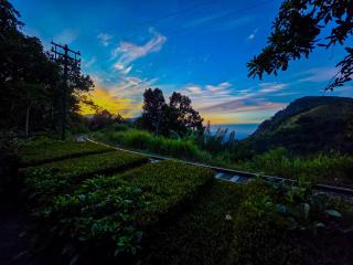 Ella Happy View Homestay - 2